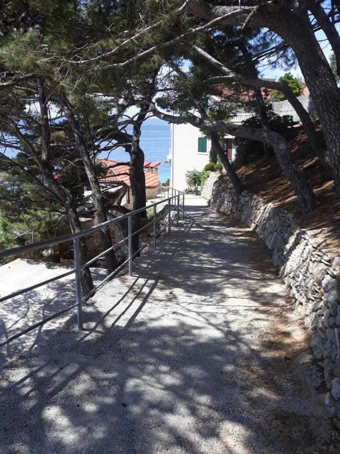 Apartman Maslina Pisak Exterior foto